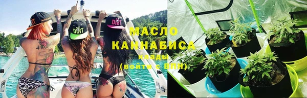 крисы Абаза