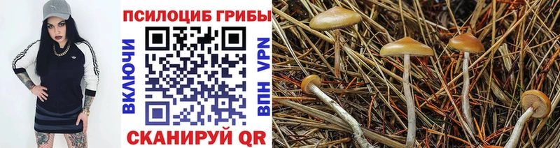 Псилоцибиновые грибы ЛСД  Эртиль 